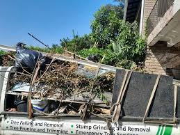 Professional Junk Removal Services in Park River, ND
