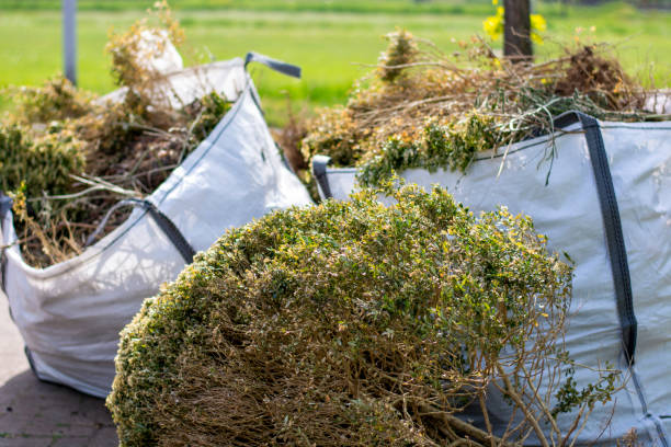 Moving and Downsizing Cleanouts in Park River, ND